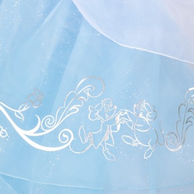 Cinderella Princess Costume for Girls with Glitter Gown and Brooch