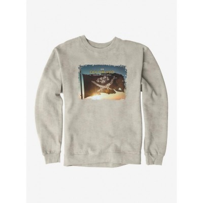 Doctor Who Thirteenth Doctor Flag Poster Unisex Sweatshirt