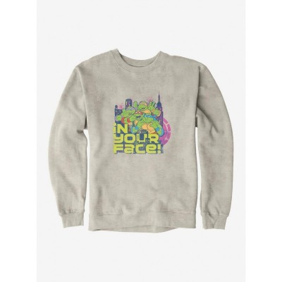 Teenage Mutant Ninja Turtles Graphic Men's Sweatshirt
