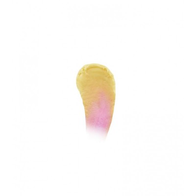 Luna Magic Transforming Sunflower Lipstick for Women